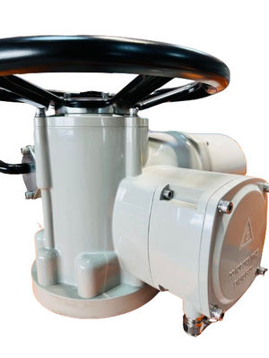 200NM IP67 Multi Turn Electric Actuator Custom With Thermal Protection