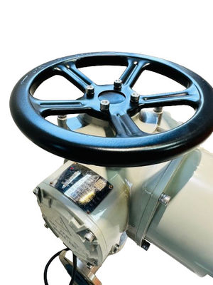 Anti Corrosion Coating Electric Straight Stroke Valve Actuator 50HZ