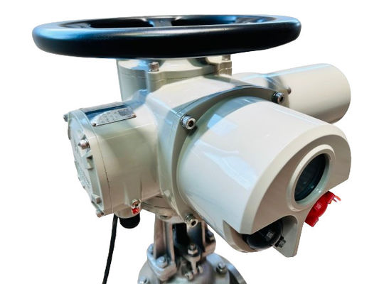 Custom Explosion Proof Electric Actuator F Insulation Level 440v