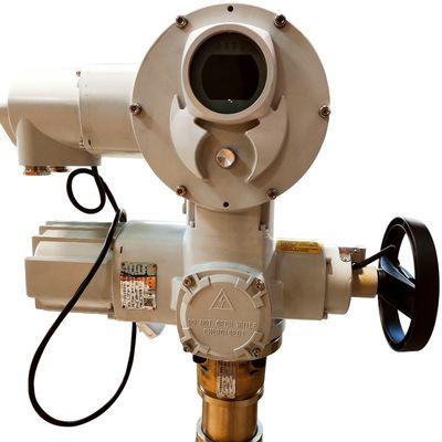 Custom Explosion Proof Electric Actuator F Insulation Level 440v